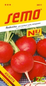 Ředkvička červ. - Kvarta tetraploidní rychl,pole 5g - série NEJ