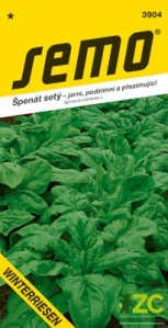 Špenát - Winterriesen 2g