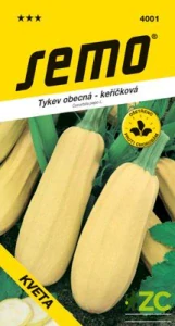 Tykev keříčková - Kveta 3g