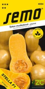 Tykev muškátová - Stella F1 (typ Butternut) konz.vař 2g