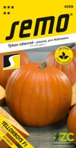 Tykev plazivá - Yellowboys F1 (Halloween) 3g