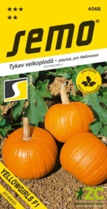 Tykev plazivá - Yellowgirls F1 (Halloween) 3g