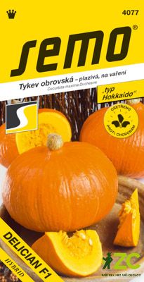 Tykev typ Hokkaido - Delician F1 5s