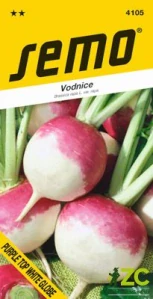 Vodnice - Purple Top White Globe (bělomasá) 2g