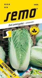Zelí pekingské - Concord F1 soudeček 50s