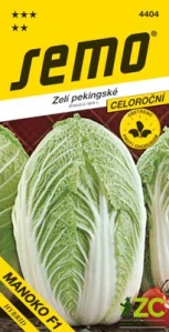 Zelí pekingské - Manoko F1 celoroční 40s