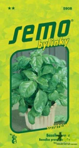 Bazalka pravá - Lettuce Leaf (salátová) 1g