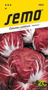 Čekanka hlávková červená - Palla Rossa 3 50s