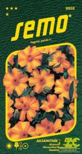 Aksamitník rozkladitý - La Bamba 40s