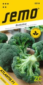 Brokolice - Atlantis F1 40s