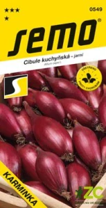 Cibule jarní - Karminka červená oválná 1,5g