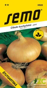 Cibule jarní - Štutgartská žlutá 2g