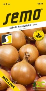 Cibule jarní - Wellina žlutá 2g