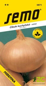 Cibule ozimá - Hiberna žlutá 2g