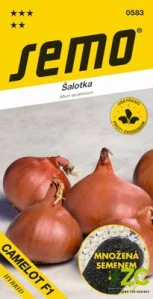 Cibule šalotka - Camelot F1 červená 50s