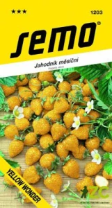 Jahodník měsíční - Yellow Wonder 0,1g