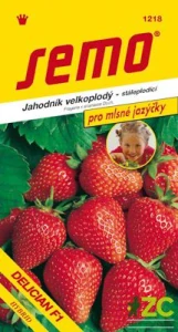 Jahodník velkoplodý - Delician F1 12s - série JAZÝČKY