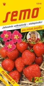 Jahodník velkoplodý - Florian F1 12s - série JAZÝČKY