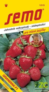 Jahodník velkoplodý - Grandian F1 12s - série JAZÝČKY