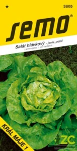 Salát jarní - Král máje 1 polní 0,4g