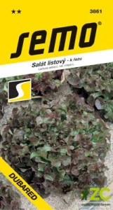 Salát kadeřavý k řezu - Dubared 0,6g