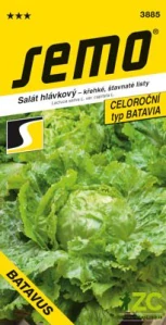 Salát hlávkový - Batavus PROFI polní 0,6g
