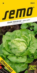 Salát letní - Dětenická atrakce polní 0,6g