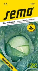 Zelí kruhárenské - Kamienna Glowa pozdní 0,8g