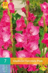 Karta - Mečík FAIRYTALE PINK (7 cibulí) "B"