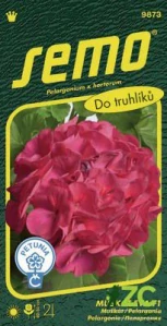 Pelargonie páskatá - Eva F1 11s