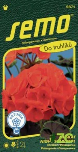 Pelargonie páskatá - Night Scarlet F1 11s