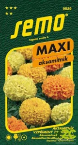 Aksamitník vzpřímený - Taishan F1 15s - série MAXI