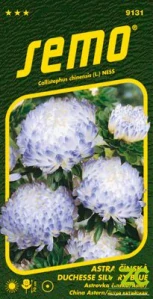Astra čínská - Duchesse silvery blue 0,5g