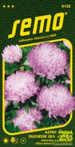 Astra čínská - Duchesse silvery rose 0,5g