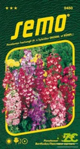 Dračík - Penstemon směs 0,1g
