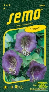 Kobea - vilec modrofialový Blue Bell 0,7g