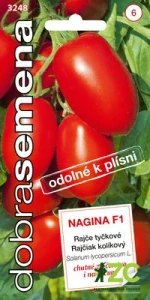 Dobrá semena Rajče tyč. - Nagina F1, odolné proti plísni 10s
