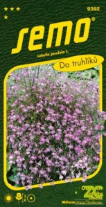 Lobelka převislá - Lila světle fialová 0,25g