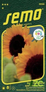 Slunečnice roční - Sunrich Orange F1 15s - série KVĚTINY K ŘEZU