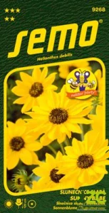 Slunečnice slabá - Sunny Babe (Piccolo) 1,2g - série NEKTAR PÁRTY