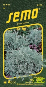 Starček - Silverdust 0,3g