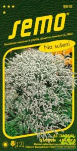 Suchobýl tatarský - Statice tatarika bílý 0,2g