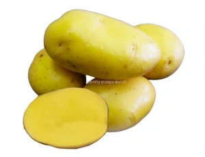 Brambory Camelia sadbové žluté polorané 5kg