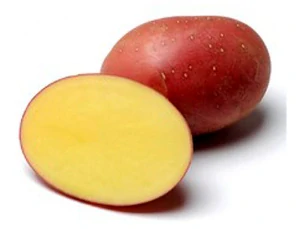 Brambory RED ANNA sadbové červené 5kg