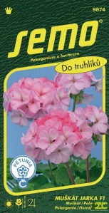 Pelargonie páskatá - Jarka F1 11s