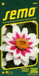 Ostálka - Zahara® Starlight Rose 15s