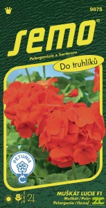 Pelargonie páskatá - Lucie F1 11s