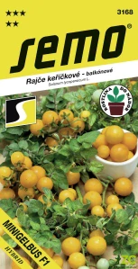 Rajče keř. - Minigelbus F1 40s
